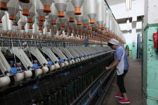 紡織廠如何精準(zhǔn)開(kāi)拓客戶(hù)并推動(dòng)紡織技術(shù)開(kāi)發(fā)